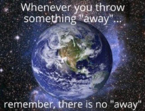 Navigating Plastic Mayhem