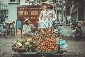 Bicycle food cart