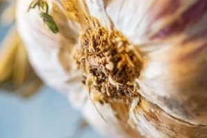 Garlic and thyme