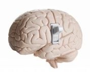 Brain Switch
