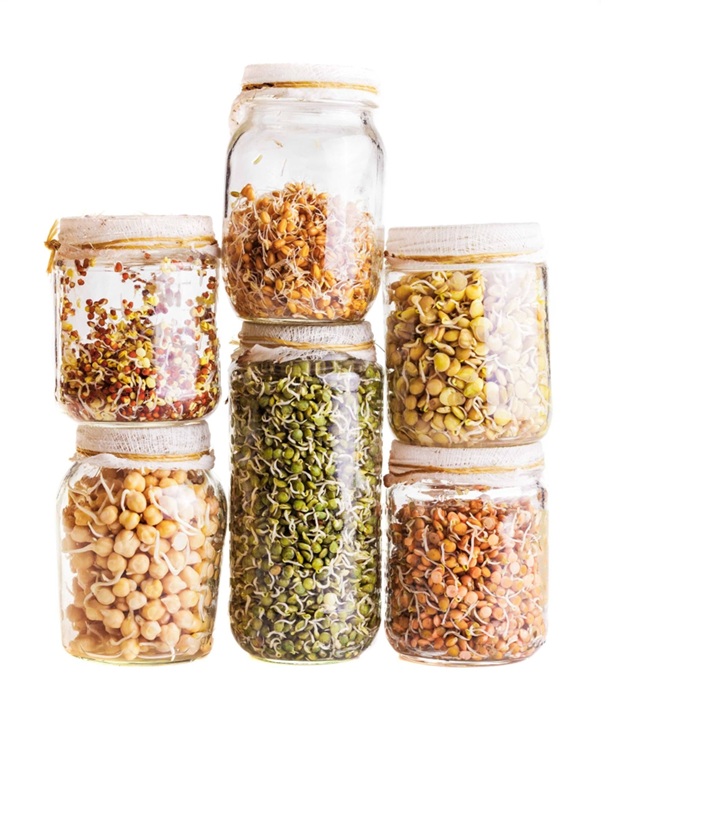 Jars of sprouts