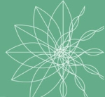 flower-150 Flower decoration