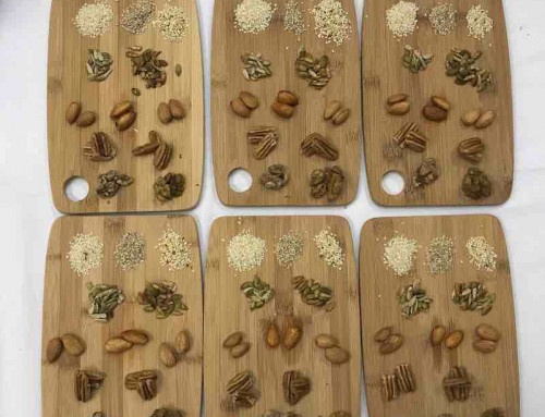 Eating for the Planet Workshop