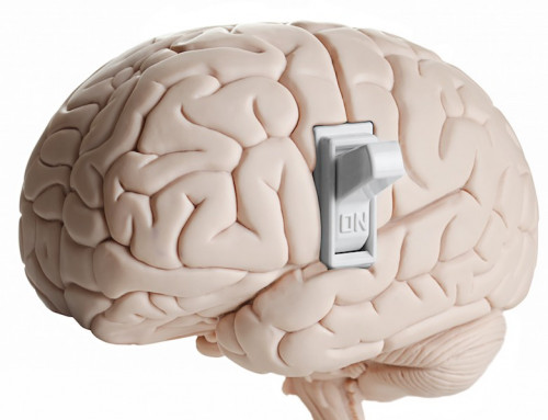 Boosting Brain Power Workshop