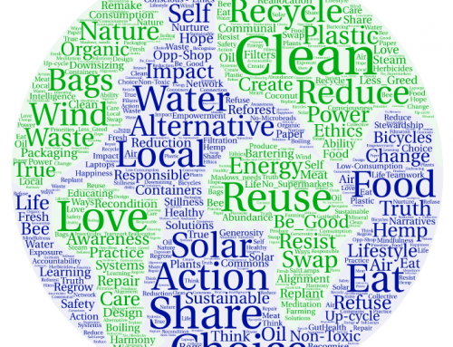 What on Earth can we do? (Part 3) Ask questions…