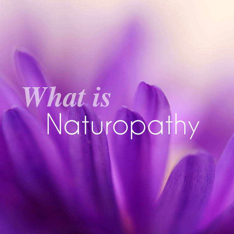 what is naturopathy